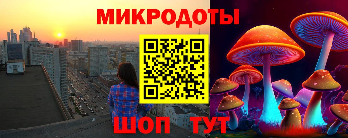 Череповец  Псилоцибиновые грибы GOLDEN TEACHER  Вход с VPN 
